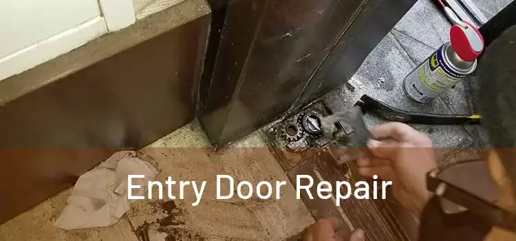 Entry Door Repair