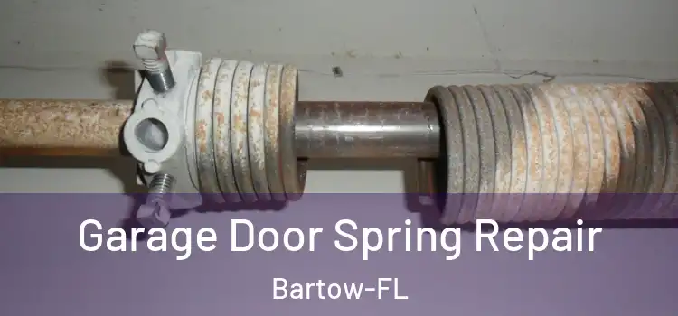 Garage Door Spring Repair Bartow-FL