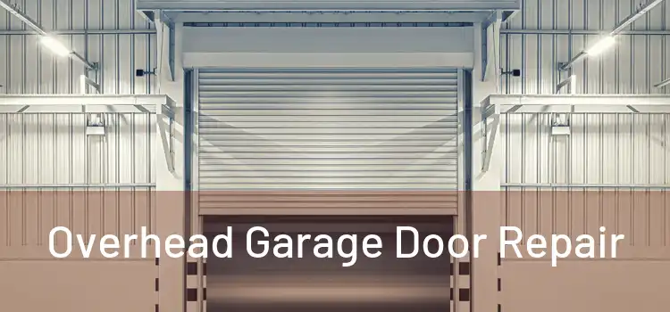  Overhead Garage Door Repair 